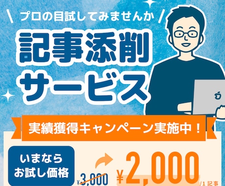あなたのブログ記事をプロが添削します SEOブログアフィリのプロがあなたの記事にフィードバック イメージ1