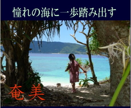 奄美大島をディープにガイドします ここが知りたい！ウェブにはない情報をお伝えします。 イメージ1