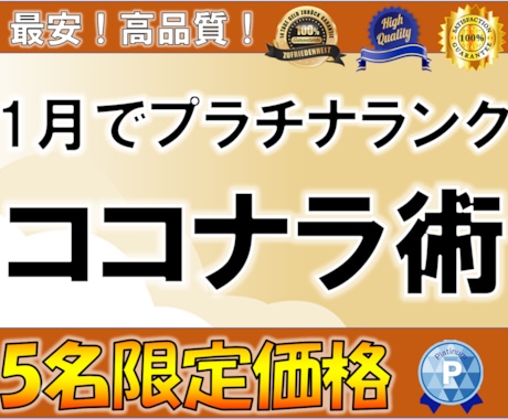 1月でプラチナ！ココナラでの商品の売り方を教えます 売れない方！ランク上げたい方！仕事辞めたい方！実績０の方！ イメージ1