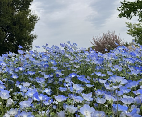 あなたの仕事運の波を完全解析致します 【霊視＋命術＋タロットカードの総合鑑定】 イメージ1