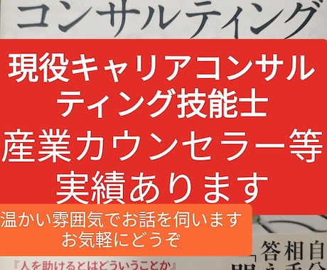 複数の国家資格保有者による、実技面接相談を行います キャリアコンサルタント、技能士2級、産業カウンセラー実技ほか イメージ2