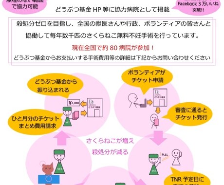 地域猫や多頭飼育崩壊した猫の格安不妊手術相談承ます この出品は購入はされないで、DMからお問い合わせ下さい イメージ2