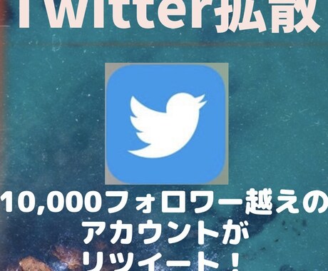 フォロワー１万人越えのアカウントが宣伝します Twitterフォロワー１万人越え▶︎Twitter拡散 イメージ1
