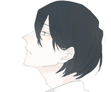 あなたのためのイラストを描きます Twitterなど、SNSのアイコンにオススメです♪ イメージ2