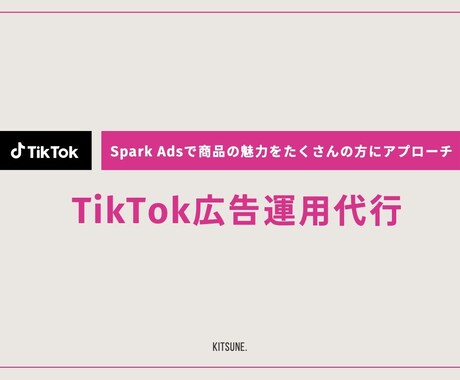 現役PRがTikTok広告運用で商品PRします 【美容特化】TikTok Spark Ads 運用サポート イメージ1