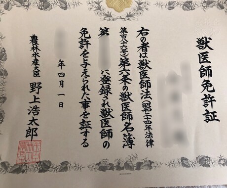 獣医師に直接相談できます ペットに関するお悩み相談を承っております イメージ2
