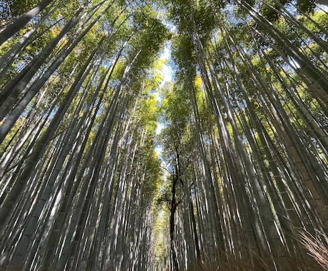 大学生が撮った日常写真を販売させていただきます 大学生ならではの視点で切り取った素朴な日常 イメージ2