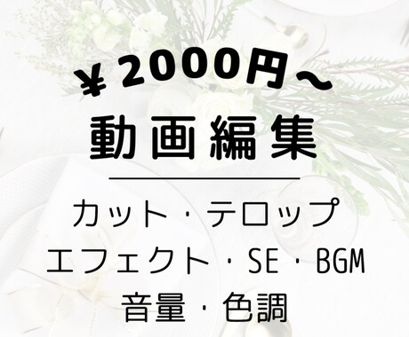 Youtube動画制作代行いたします イメージ1