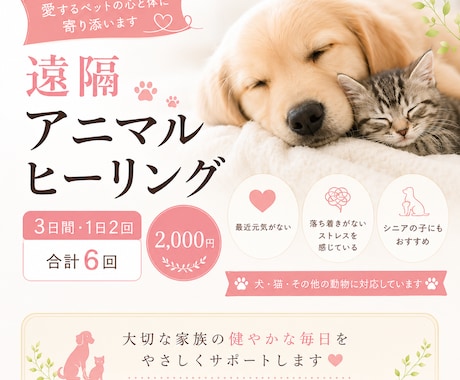 大切なペットへ3日間、1日2回ヒーリングします 大切な家族へ、心を込めて3日間寄り添います イメージ1