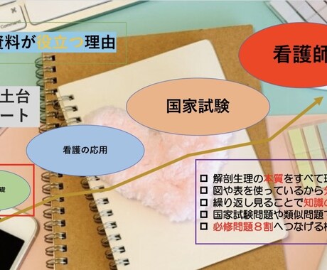 解剖生理でつまづかない！循環器の基礎を解説します 現役看護学生が教える解剖生理の最強の学び方を伝授します イメージ2