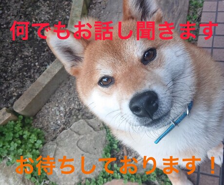1分から何でもお話しを聞きます どんな内容でも沈黙でも全て受け入れます！ イメージ1