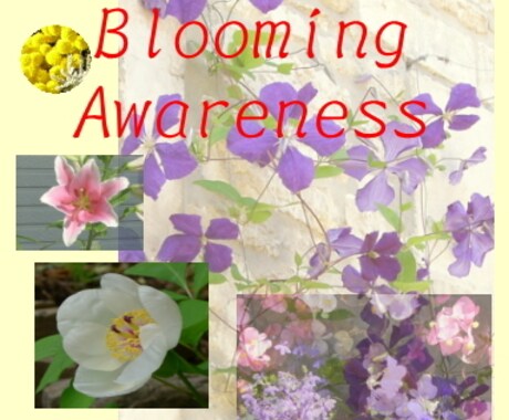 貴方を象徴する花をリサーチします 詩的に表現すれば、、、花の精の力で魅力を高めることです イメージ1