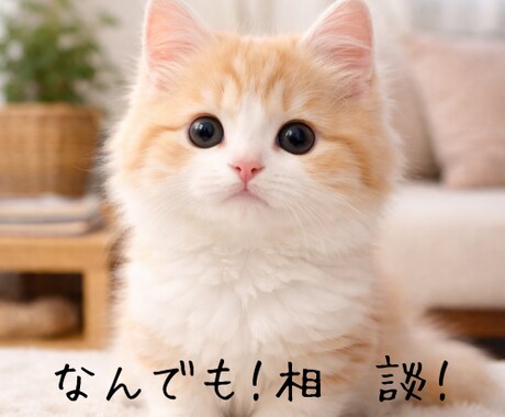 なんでもお話聞きます いろいろな経験をもとに、お話聞きます！ イメージ1