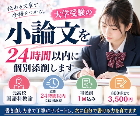 大学受験の小論文を24時間以内に個別添削します イメージ1