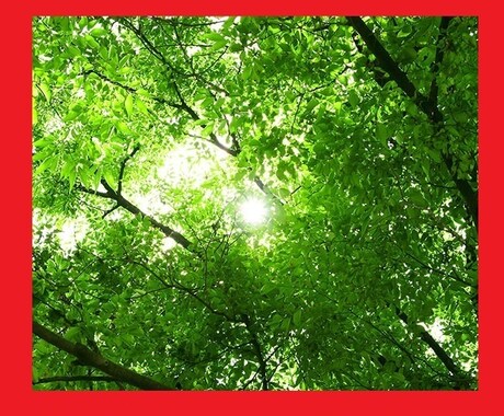 悩み過ぎて辛い・・・ 全て受けとめます 誰かと話したい、愚痴を聞いて欲しい。何でもＯＫです。 イメージ1