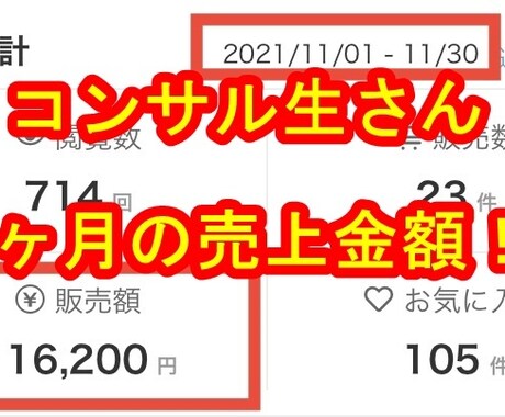 ココナラ販売‼60日間集中ビジネスコンサルをします 毎月10万以上売るビジネス法⭐ノウハウ＆60日個別サポート付 イメージ2