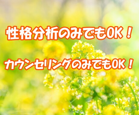 臨床心理士が「性格分析＋カウンセリング」します 人間関係、将来が不安……あなたの性格に沿った解決策を考えます イメージ2