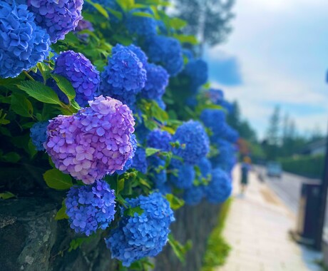 心が軽くなるお手伝い致します 生きるという事。心の声を言葉にして伝えて下さい。 イメージ2