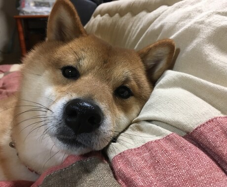 なんでも聴きます 友達、家族には、話せない話し聴きます イメージ1