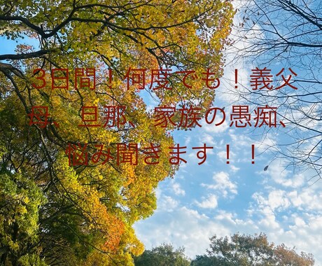 3日間じっくりお話し聞きます 義母、旦那の愚痴、モラハラ等お話しください。 イメージ1