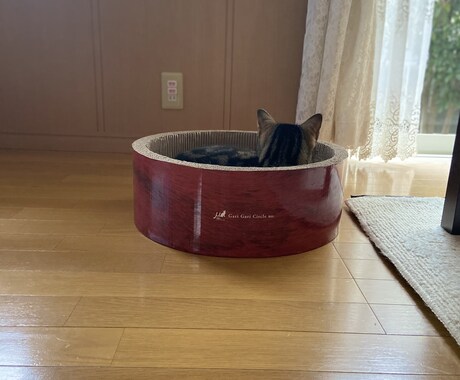 何でもお話しお聞きします 心を軽くしてスッキリして下さい イメージ1