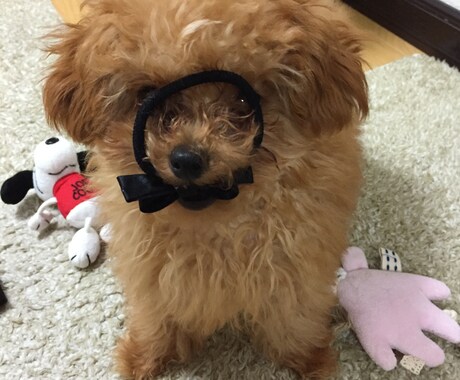 悩みがある、いい事があった時などお話し聞きます どんなことでも構いません！気軽にどうぞ！ イメージ1