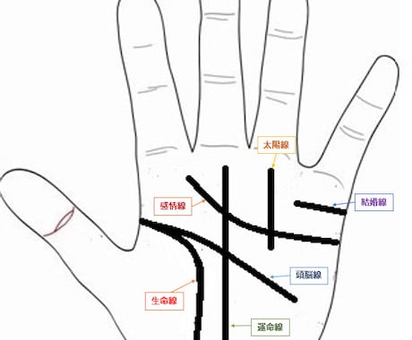 画像付きの手相鑑定で具体的なご相談にお答えします 個別のご相談にお答えしながら、総合的な運勢を鑑定致します！ イメージ2