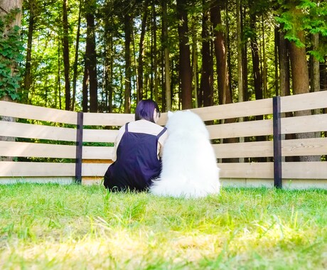 家族だった愛犬/愛猫のお話しお聞きます ペットロスでつらいときに…有資格のカウンセラーが対応します！ イメージ1