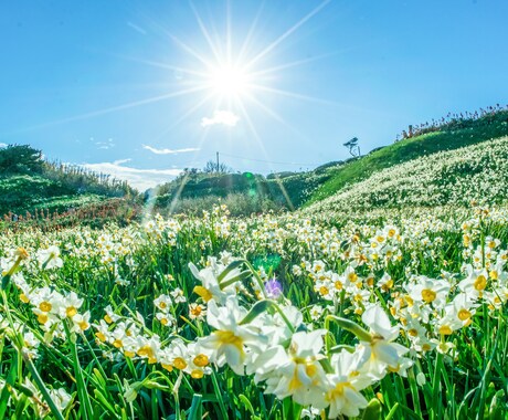 電話が苦手な方、LINE感覚でお聞きします 3日間★話し相手が欲しい時、お悩みや愚痴なんでもOK イメージ2