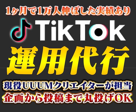 TikTok運用をUUUMクリエイターが代行します 現役クリエイターが対応！まずは相談から承ります イメージ1