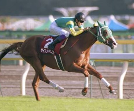 中央競馬厳選の1レースの予想を提供します 中央競馬での優良な予想情報が欲しい方 イメージ1