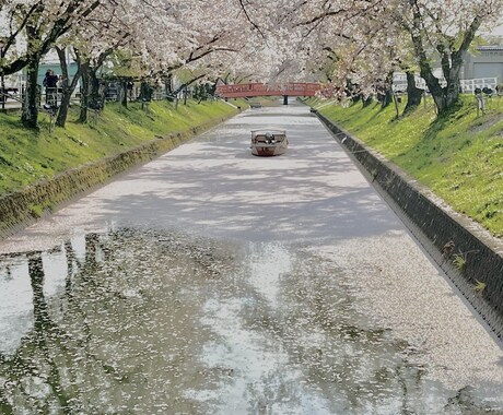 春の写真素材提供します 主に春を感じられる花々の写真を提供します イメージ2
