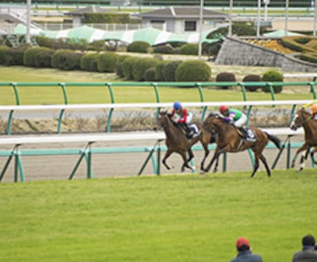 競馬の予想をいたします 始めたばかりの方、必見！単勝、馬連、三連複で勝つ！ イメージ1