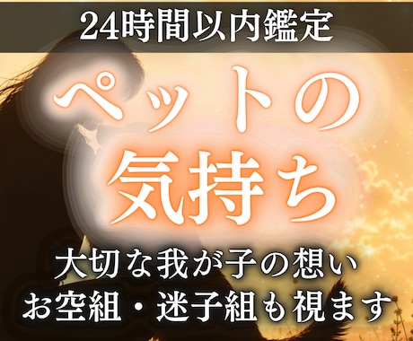 ペットの気持ちをアニマルコミュニケーションで視ます お空組・迷子組歓迎 ペットの気持ちとあなたへのメッセージ イメージ1