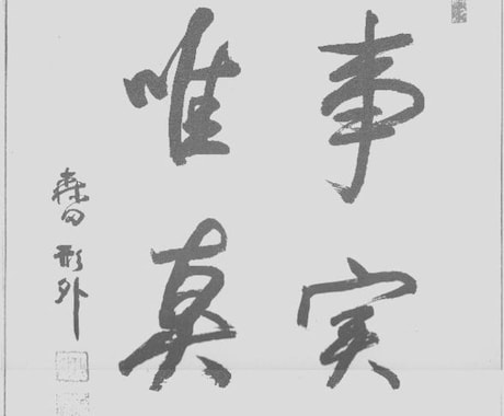 社交不安・対人恐怖などの日記指導を３０日間します 森田療法の日記指導と同様、改善する様に普段の行動を助言します イメージ1