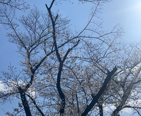 本音でお話下さいね♡心が軽くなるお手伝いをします 学生時代の淡い恋から大人な恋までなんでもお聞きします♡ イメージ1
