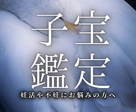 妊娠・子宝占い 赤ちゃんに恵まれる?子宝鑑定します 赤ちゃんを授かる時期、性別、授かる為のアドバイス イメージ1