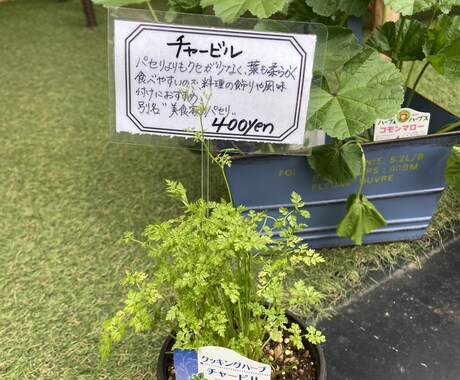 味のある手書きPOPを書きます 長く愛されるPOPが得意です。 イメージ1