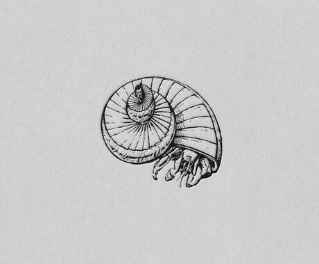 動物イラスト作成します スケッチ画からベクターデータへ変換。様々な用途で使えます イメージ2