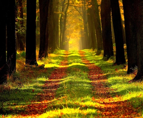 紫微斗数タロットでどちらを選ぶべきかがわかります 二つの選択に迷った時、とるべき方向性を見出します イメージ1