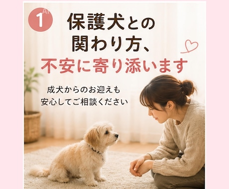 保護犬との暮らしを優しくサポートします 成犬からのお迎えも安心してご相談ください イメージ1
