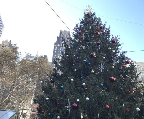 NYの おススメスポット相談のります アメリカ在住ヘアメイクアーティスト、3児のママ目線でのNY。 イメージ1