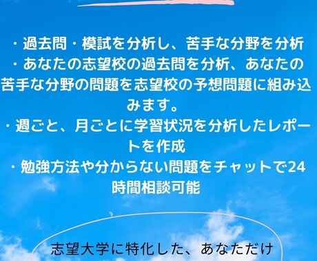 あなただけの英語教材を提供します 私立＆国立大学二次試験に特化したオーダーメイドの対策講座 イメージ2