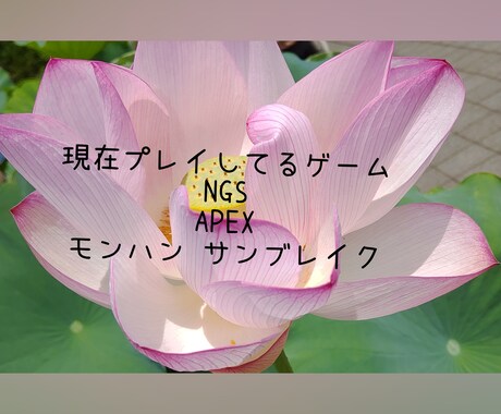 のんびりチャットで☆愚痴〜相談まで受け付けてます チャットで♪1日単位から♪価格低♪彼女始めました♪ イメージ2