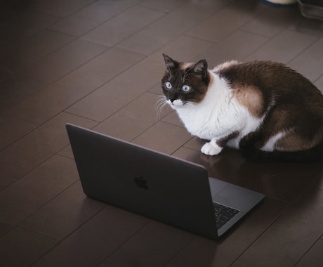 HP制作代行をお受けします お手軽にＨＰが作成できます！！ イメージ2