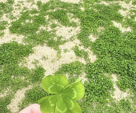 写真・動画・絵文字でゆるくつながります のんびり3日間☕️回数無制限☘️フォトチャット☘️ イメージ2