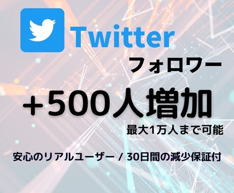 Twitter☆鬼拡散フォロワー500人増やします 安心の保証付☆＋500人 2,000円☆でご提供中！！ イメージ1