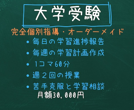元京大院生のプロ講師が高校生を1ヶ月間教えます イメージ1