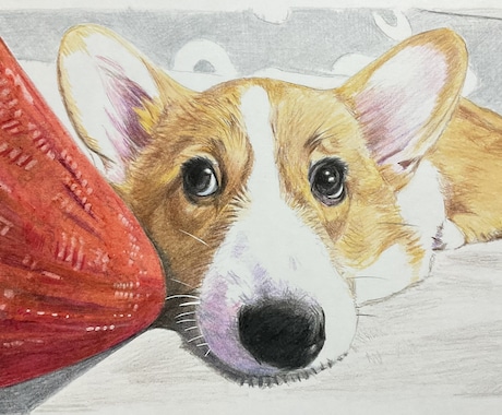 ペット似顔絵を色鉛筆で2Lサイズに描きます 写真を元に色鉛筆でペットの似顔絵をリアルに描きます。 イメージ2