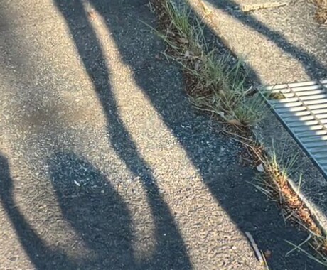 この世の中と、自分との向き合い方、相談乗ります 現在も、生きづらさを感じている30歳、男です。 イメージ1